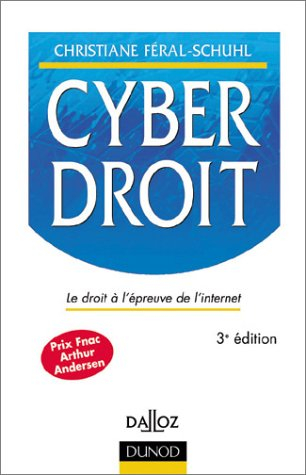 Cyberdroit : le droit à l'épreuve de l'Internet