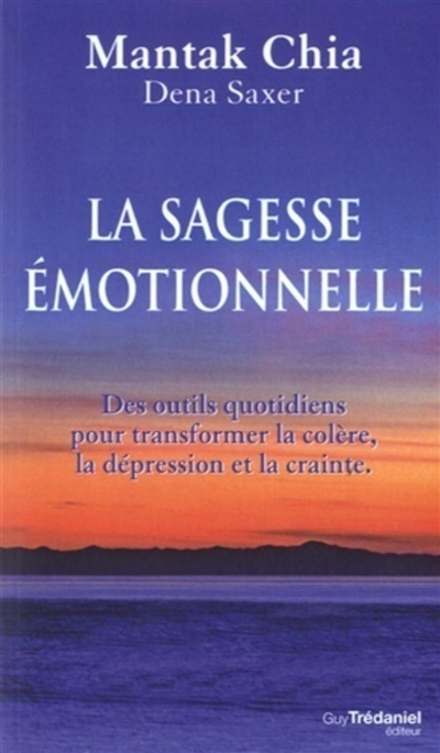 La sagesse émotionnelle : des outils quotidiens pour transformer la colère, la dépression et la crai