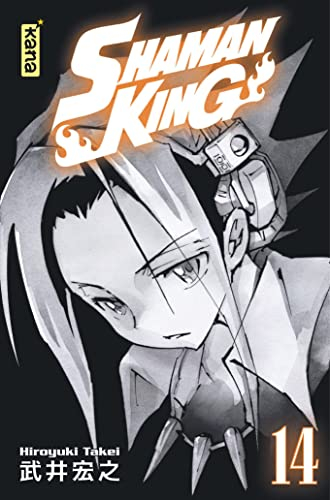 Shaman King. Vol. 14