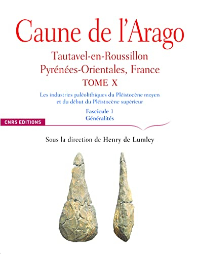 Caune de l'Arago : Tautavel-en-Roussillon, Pyrénées-Orientales, France. Vol. 10. Les industries palé
