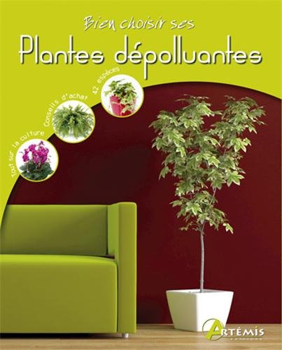 Bien choisir ses plantes dépolluantes