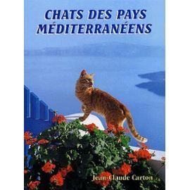 Chats des pays méditerranéens