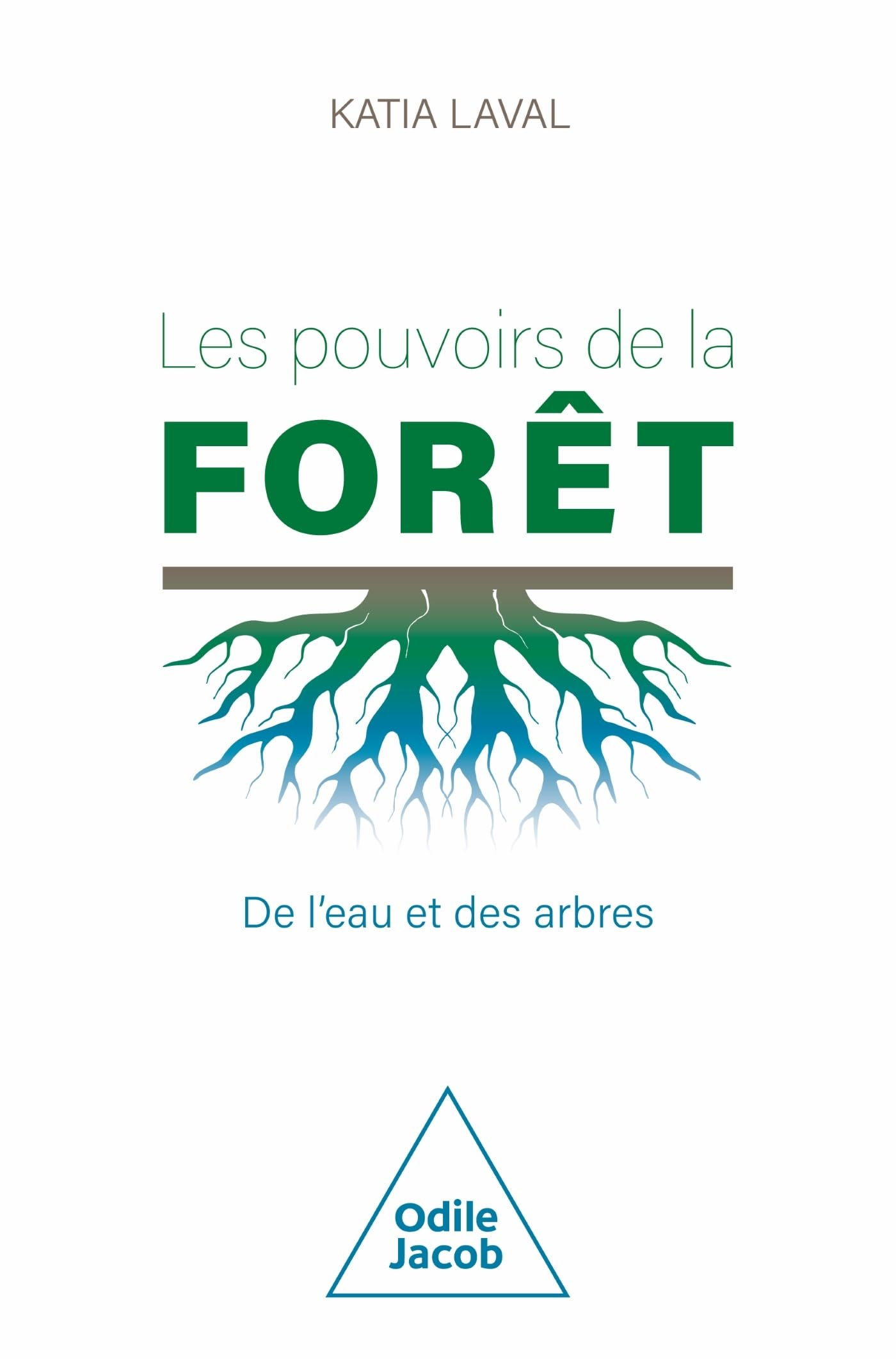 Les pouvoirs de la forêt : de l'eau et des arbres