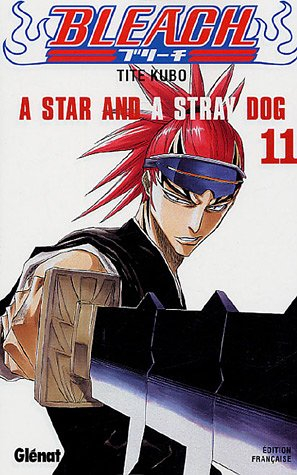 Bleach. Vol. 11. A star and a stray dog