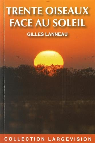 Trente oiseaux face au soleil