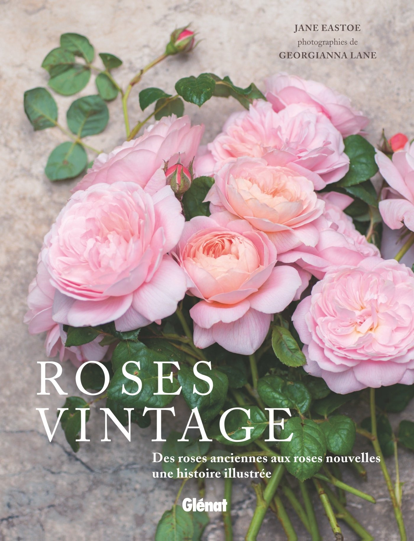 Roses vintage : des roses anciennes aux roses nouvelles : une histoire illustrée