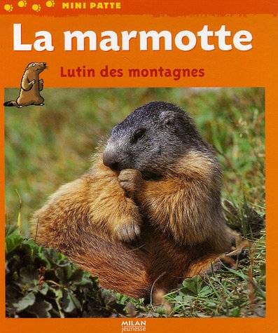 La marmotte : lutin des montagnes