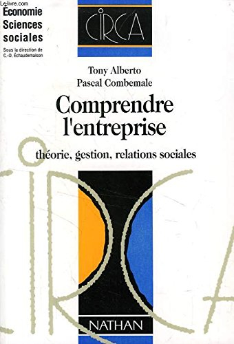 comprendre l'entreprise : théorie, gestion, relations sociales