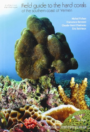 Field guide to the hard corals of the southern coast of Yemen