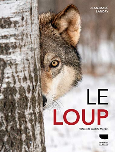 Le loup