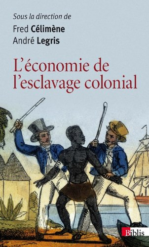 L'économie de l'esclavage colonial : enquête et bilan du XVIIe au XIXe siècle