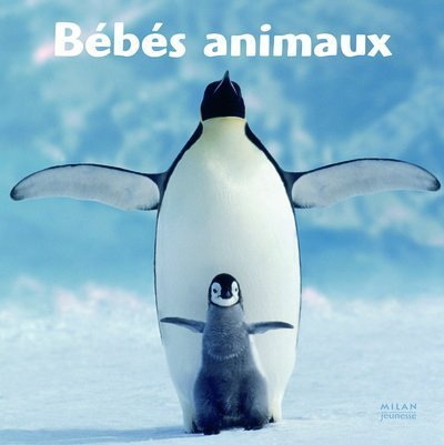 Bébés animaux