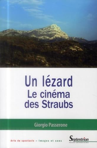 Un lézard : le cinéma des Straubs