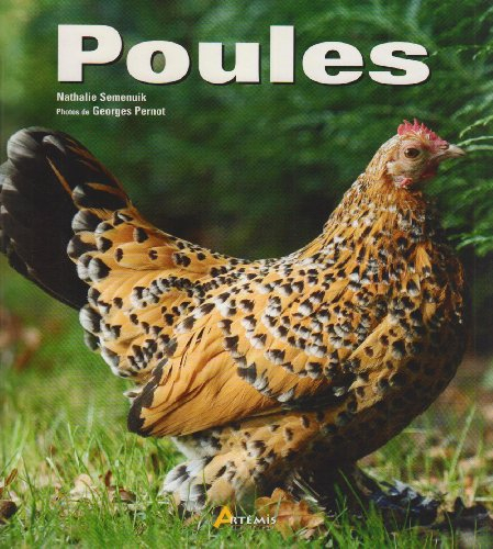 Poules