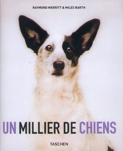 Un millier de chiens