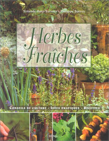 Herbes fraîches : conseils de culture, idées pratiques, recettes