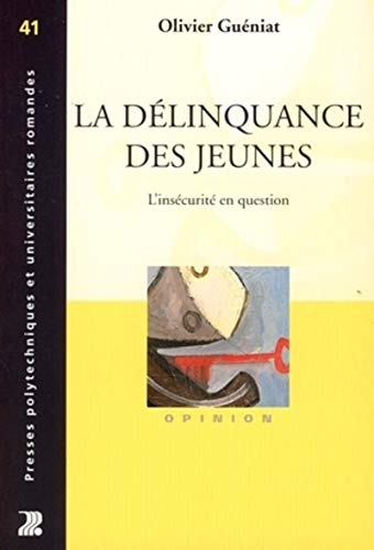 La délinquance des jeunes : l'insécurité en question