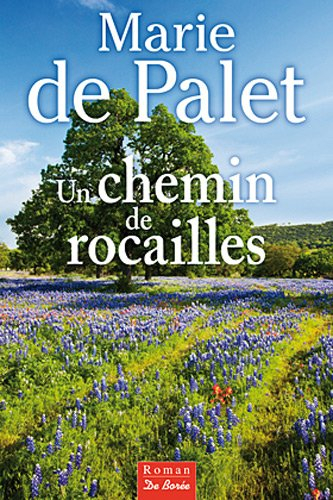 Un chemin de rocailles