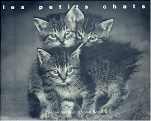 Les petits chats