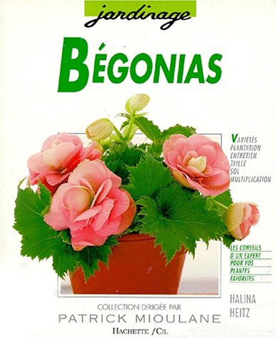 bégonias : des variétés pour le balcon, la terrasse, l'appartement et le jardin...