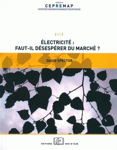 Electricité, faut-il désespérer du marché ?