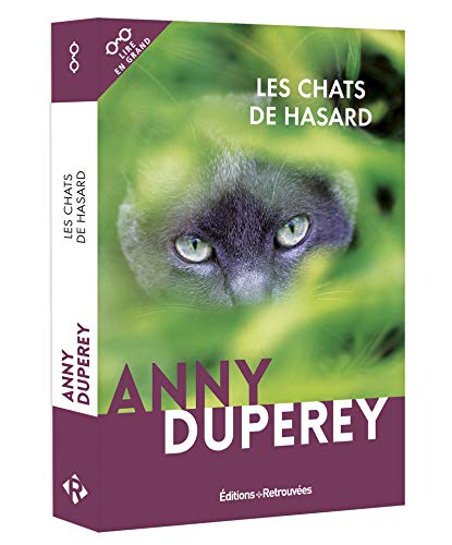 Les chats de hasard