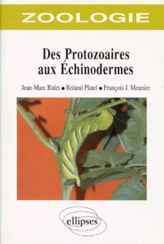 Des protozoaires aux échinodermes