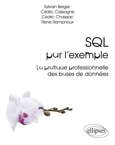 SQL par l'exemple : la pratique professionnelle des bases de données