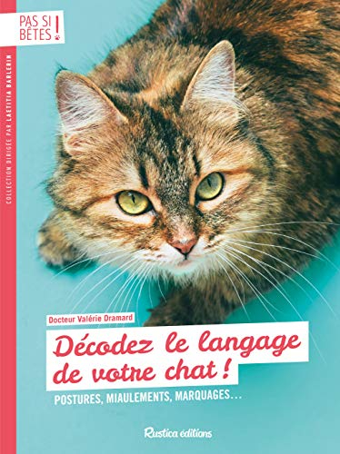 Décodez le langage de votre chat : postures, miaulements, marquages...