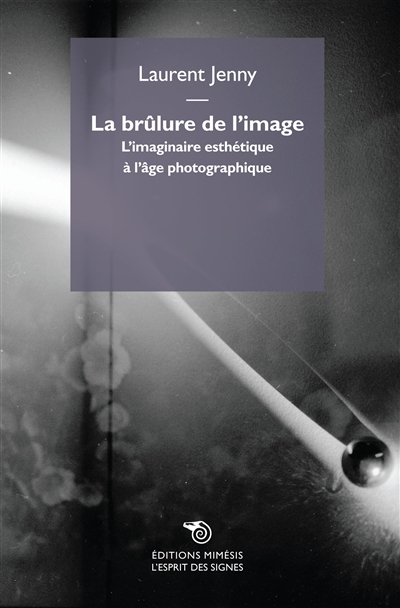 La brûlure de l'image : l'imaginaire esthétique à l'âge photographique