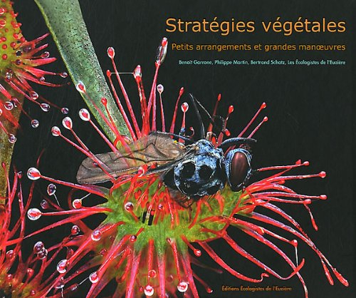 Stratégies végétales : petits arrangements et grandes manoeuvres