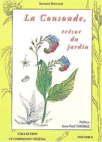 La consoude, trésor du jardin