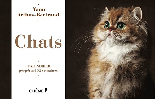Chats : calendrier perpétuel 52 semaines de Yann Arthus-Bertrand