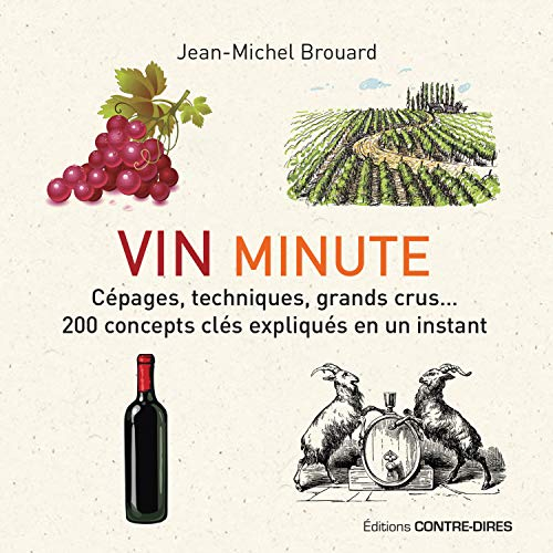 Vin minute : cépages, techniques, grands crus... : 200 concepts clés expliqués en un instant