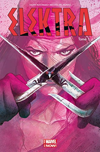 Elektra. Vol. 1. Le sang appelle le sang