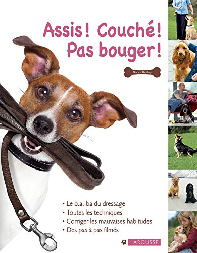 Assis ! Couché ! Pas bouger !