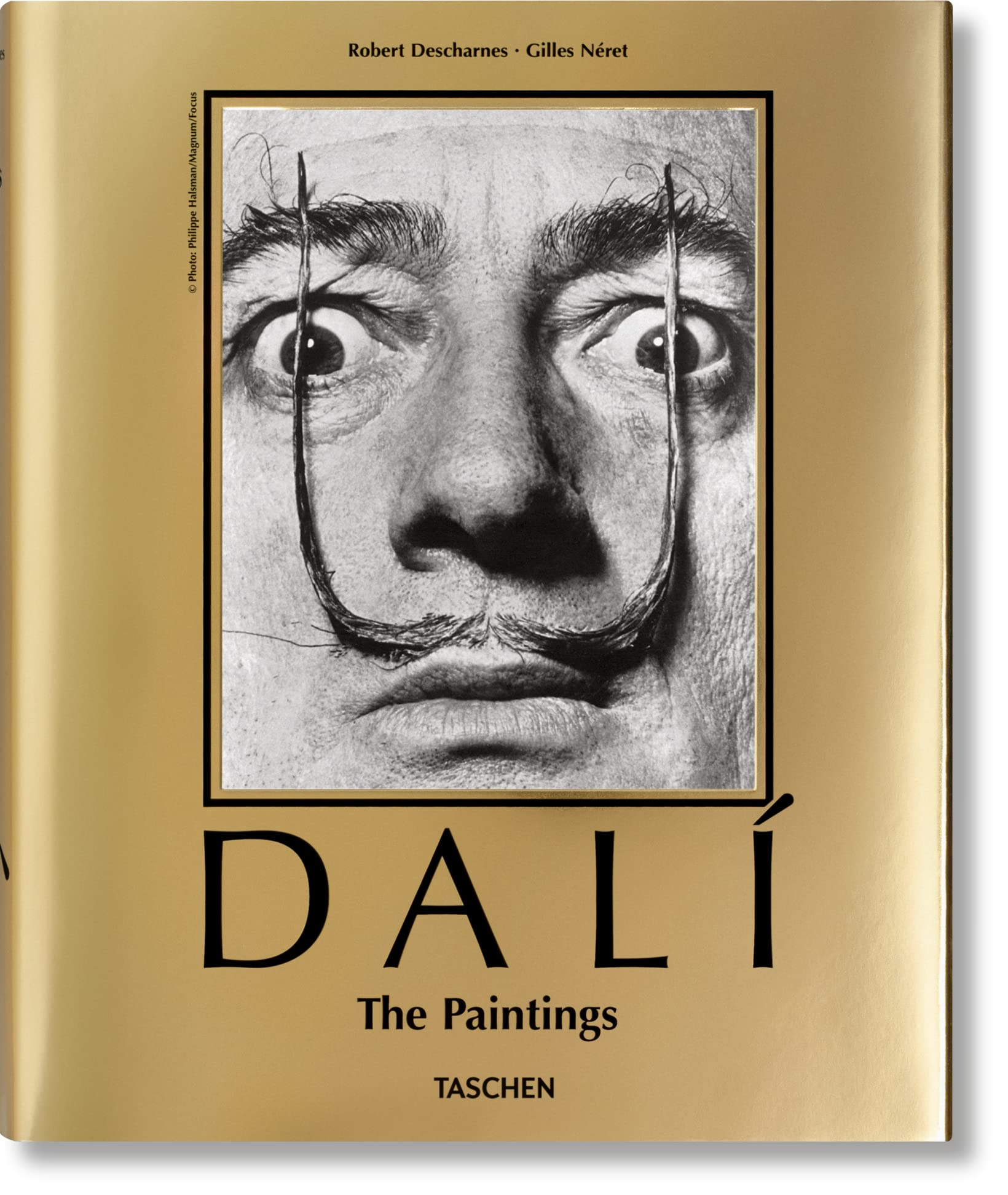 Dali : l'oeuvre peint