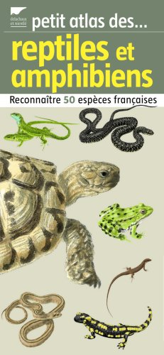 Petit atlas des reptiles et amphibiens : reconnaître 50 espèces françaises