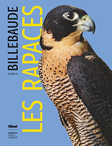 Billebaude, n° 18. Les rapaces