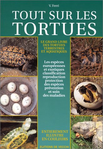 Tout sur les tortues