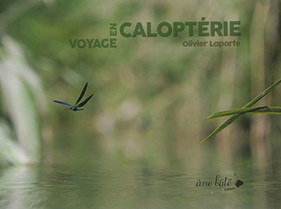 Voyage en Caloptérie