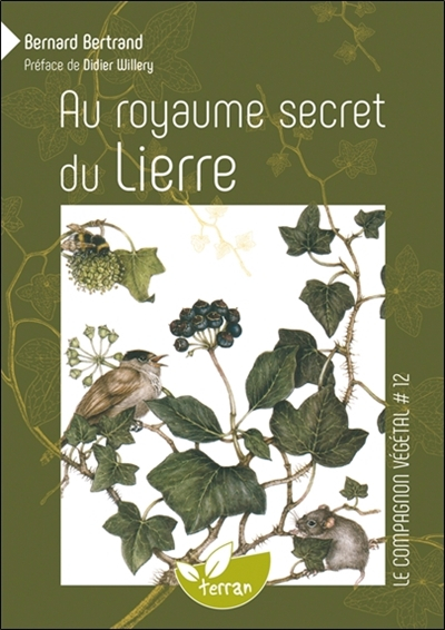 Au royaume secret du lierre