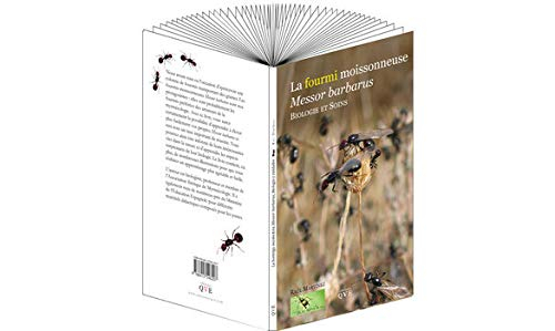 La fourmi moissonneuse Messor barbarus, biologie et soins