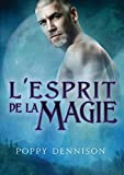 L'esprit de la magie