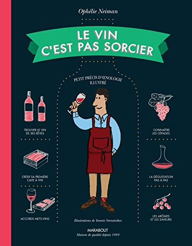 Le vin c'est pas sorcier : petit précis d'oenologie illustré