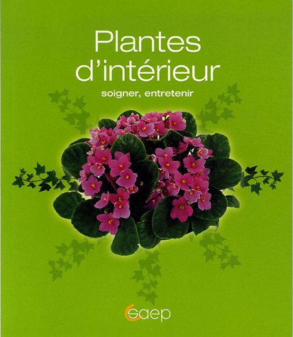 Plantes d'intérieur : soigner, entretenir