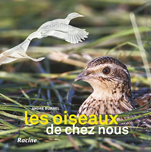 Les oiseaux de chez nous