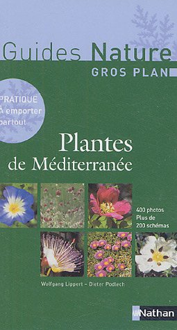 Plantes de Méditerranée