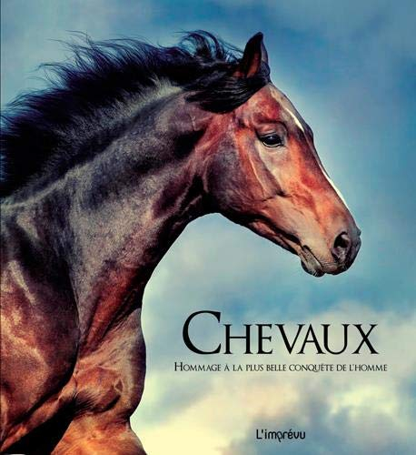 Chevaux : hommage à la plus belle conquête de l'homme