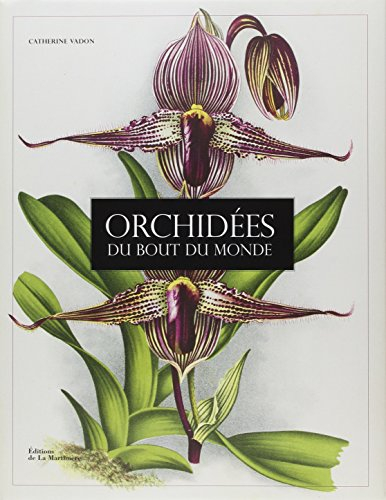 Orchidées du bout du monde